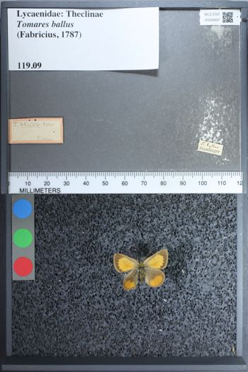 Media type: image;   Entomology 68897